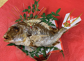 shidashi_909_tai.jpg